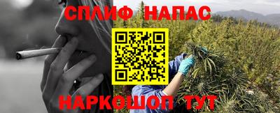 скорость Будённовск