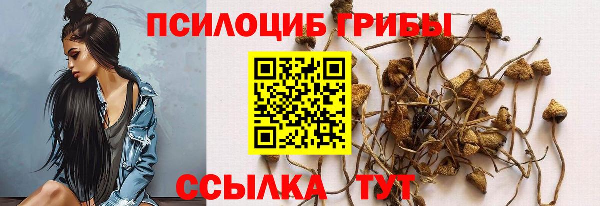 Псилоцибиновые грибы прущие грибы Электросталь